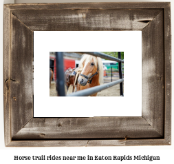 horse trail rides near me in Eaton Rapids, Michigan